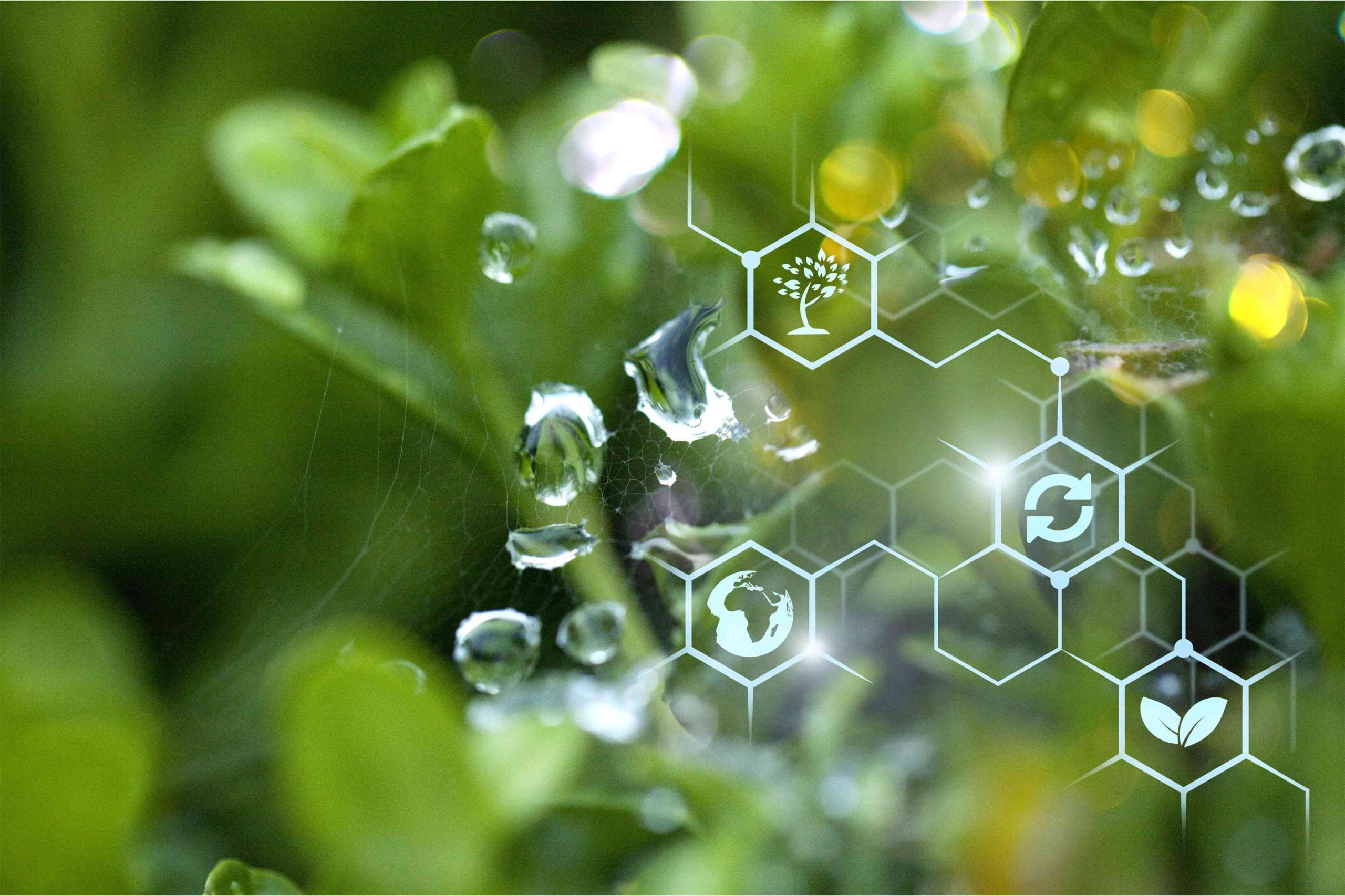 Développement durable : vers une chimie plus responsable.