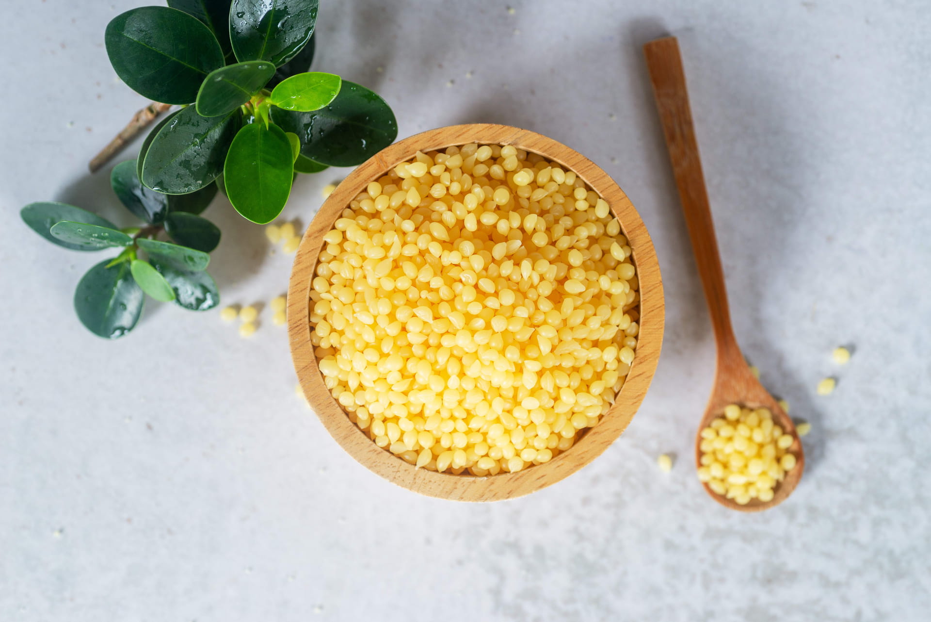 candelila wax in a bowl and spoon