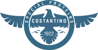 A. Costantino & C. S.P.A