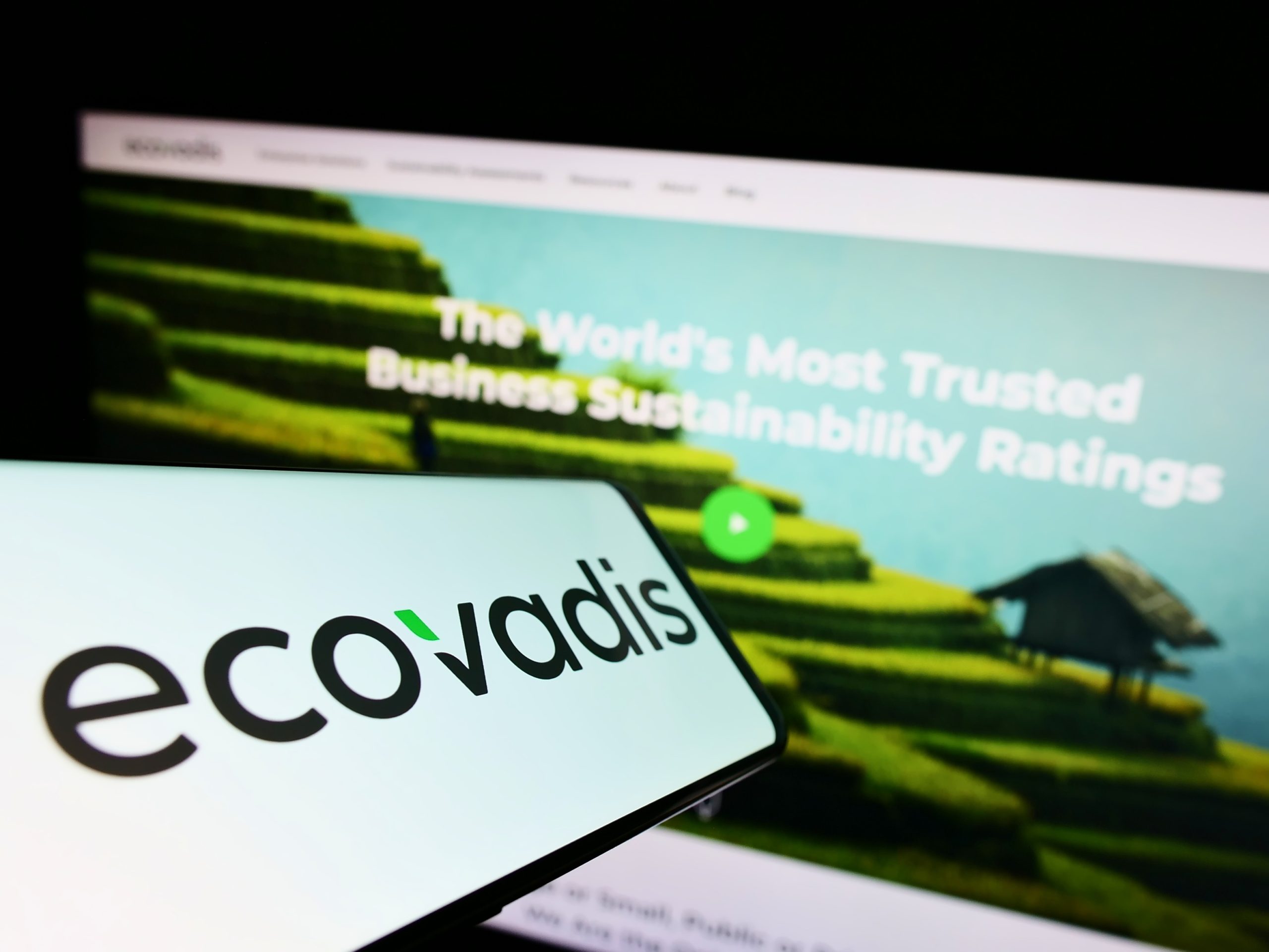 Ecovadis medal logo.