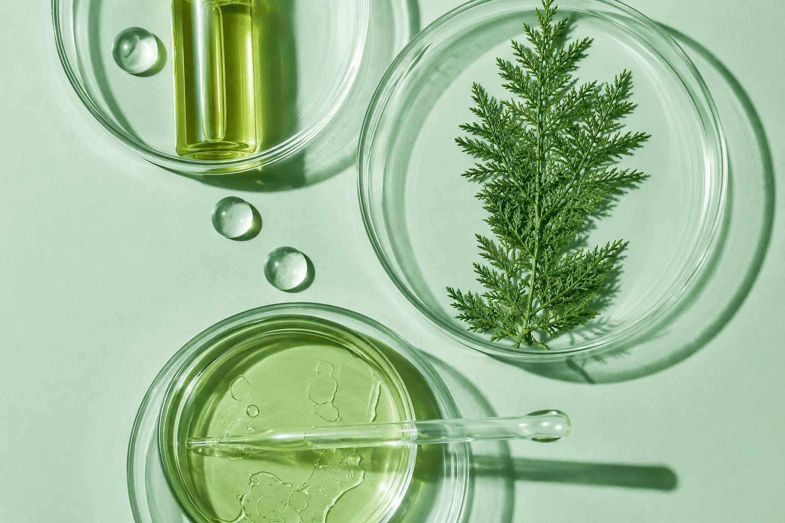 Minimalist flat lay of cosmetic laboratory glassware with green botanical extract, featuring petri dishes, a glass pipette and plant leaves on a soft mint background.