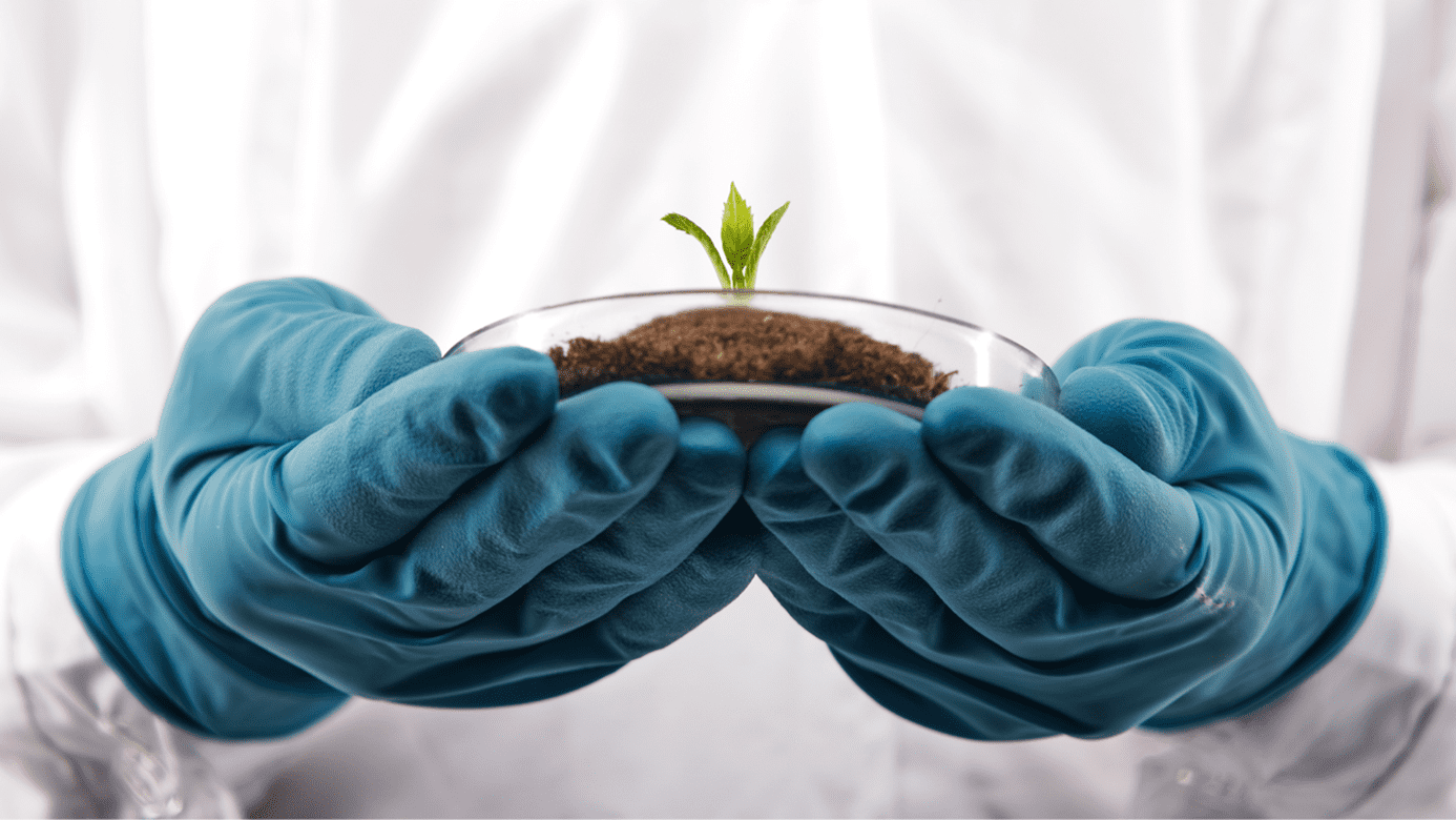 From Nature to Lab: Unveiling the Secrets of Next-Generation Green Ingredient Production