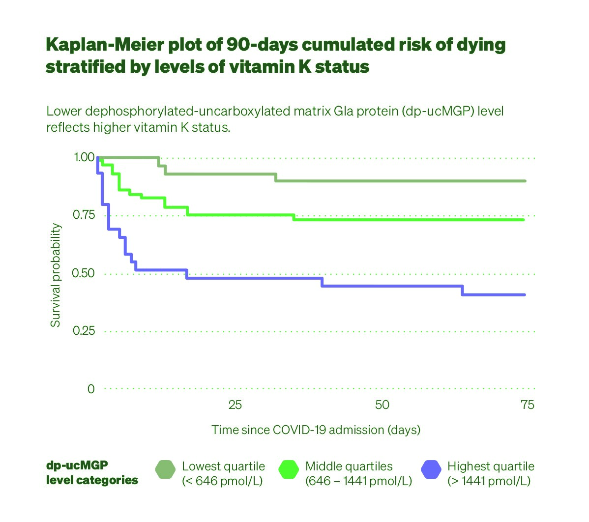 Kaplan-Meier plot of 30-days cumulated risk of dying, stratified by levels of vitamin K status. Lower dephosphorylated uncarboxylated matrix Gla protein (dp-uc-MGP) level reflects higher vitamin K status