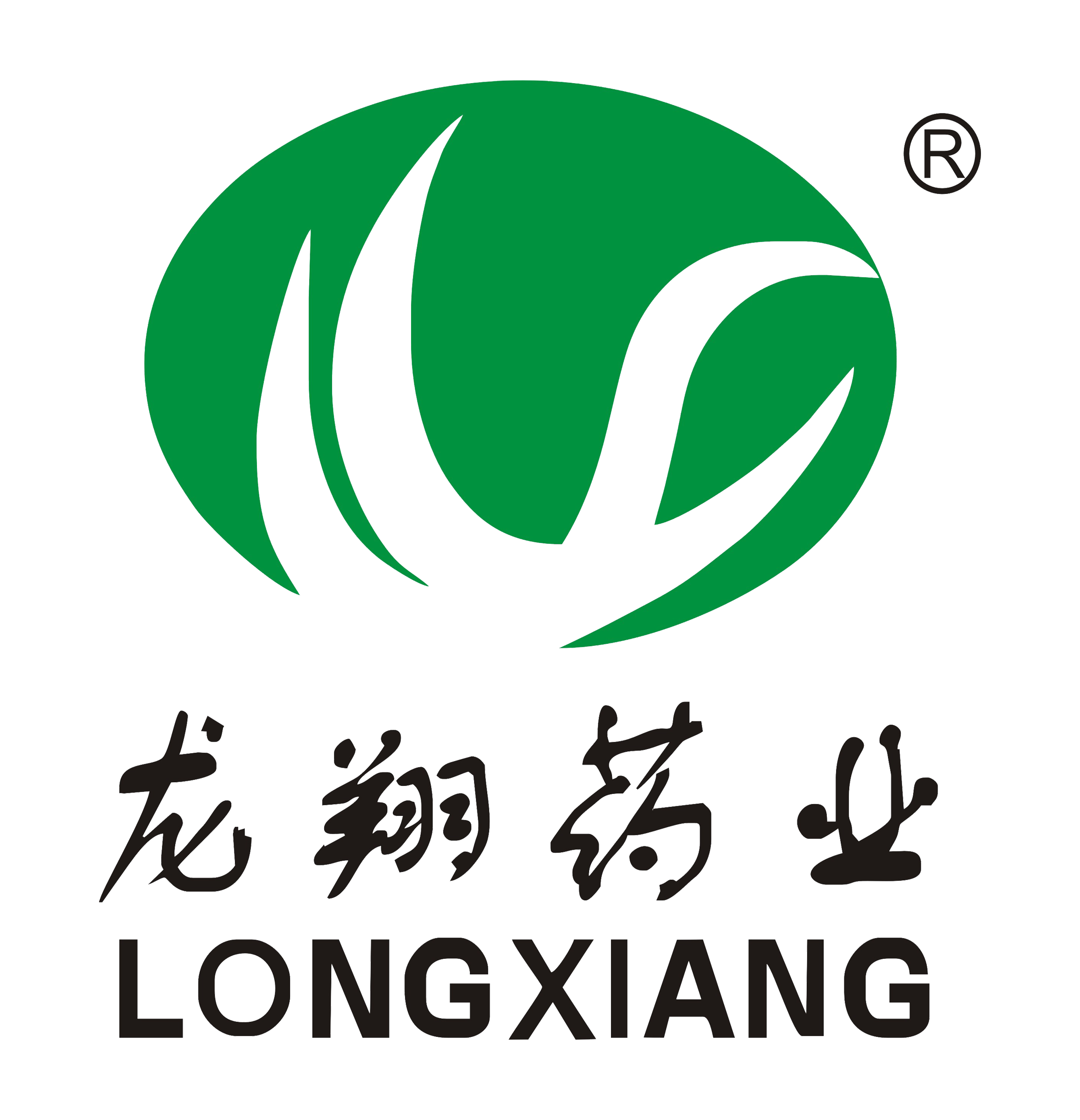 Hubei Longxiang Pharmaceutical